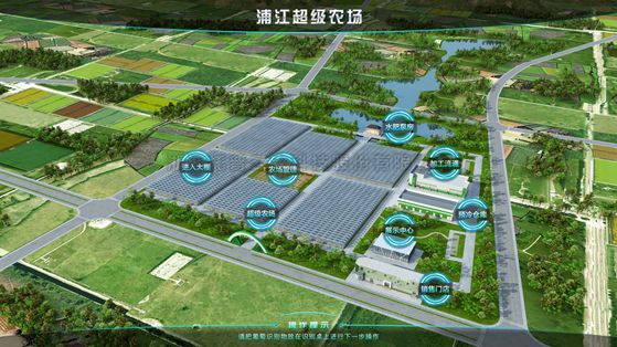 浦江超级农场：科技赋能让种植更高效