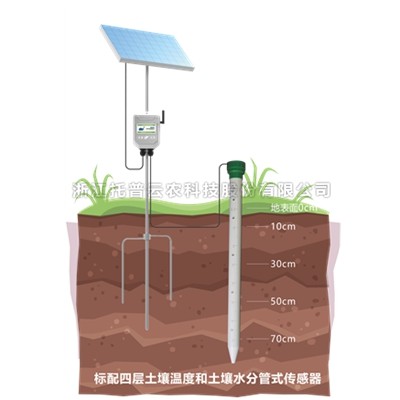 管式麻豆短视频下载墒情监测仪